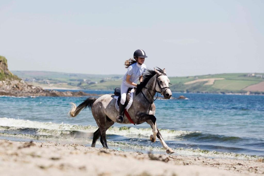 Dunmore House Hotel Clonakilty Dış mekan fotoğraf